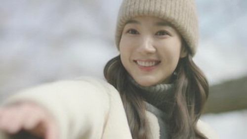 Episode 9: The Secret of the Boy who hated Dung beetles